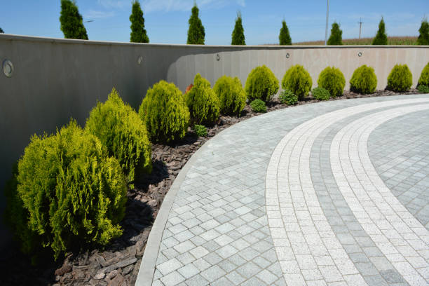 Best Luxury Driveway Paving Solutions in Pardeeville, WI